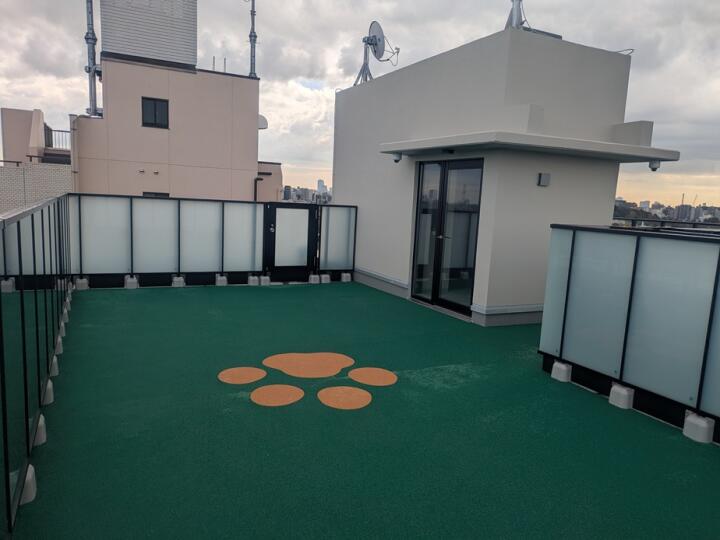 屋上ドッグラン