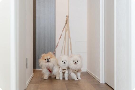 玄関リードフック