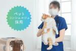 画像17