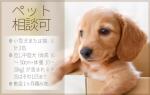 画像20
