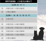 画像20
