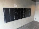 画像15